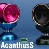 Acanthus S