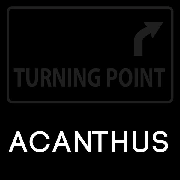 Acanthus yoyo by Turning Point – YoYoExpert