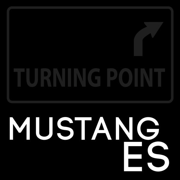 Mustang ES-1